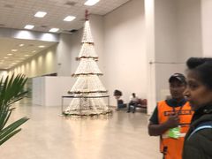 -班达拉奈克国际机场