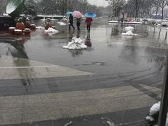 -白塘生态植物园