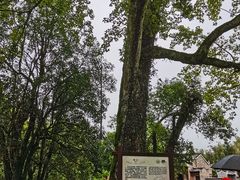 -井冈山风景名胜区