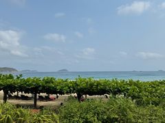 -渔家火锅·海鲜自助餐·演艺(亚龙湾天域酒店)