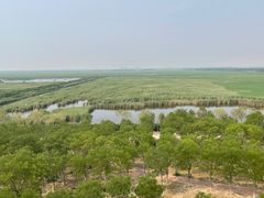 -南大港湿地风景区