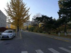 -东北大学(南湖校区)