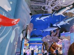 -烟台海昌鲸鲨海洋公园