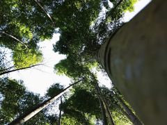 -公盂村