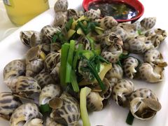 花蛤-沈家门小海鲜
