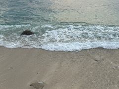 -日落吧·海景咖啡厅·餐酒吧·鸡尾酒·下午茶·乐队表演·浪漫夕阳·三亚文华东方酒店