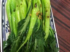 -華叔茶記