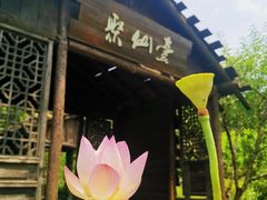 -无锡蠡湖国家湿地公园-蠡园