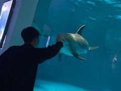 -泉城欧乐堡海洋极地世界