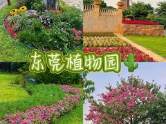 -东莞植物园