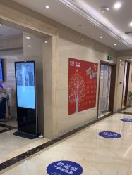 -碧莲盛·不剃发植发