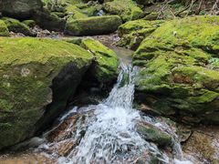 -香炉山国家森林公园
