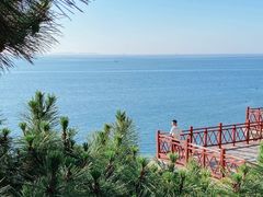 -海岛日记(养马岛店)