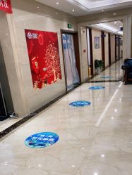 -碧莲盛·不剃发植发