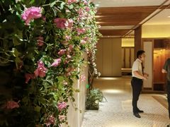 -浅深(北京北四环精品店)
