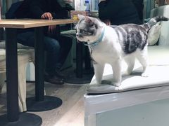 -小时光咖啡馆(开森度假森林店)