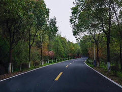 -游子山休闲旅游区