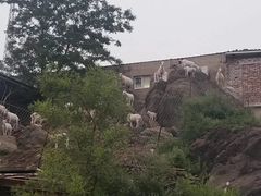 -鬼笑石后山停车场