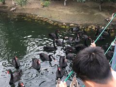 -长白岛森林公园