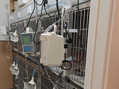 -瑞派康怡24h宠物医院·犬猫医疗中心·微创绝育(瑞景分院)
