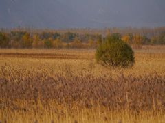 -野鸭湖国家湿地公园