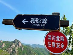 -大岭沟猕猴桃谷风景区