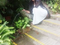 -呀诺达热带雨林