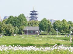 -洋湖国家湿地公园