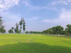 -漕湖湿地公园