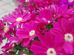 -森居forest休闲咖啡聚集地