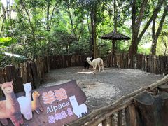 -海南热带野生动植物园