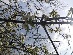 -黑龙江省森林植物园