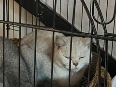 -她说户外烧烤团建(西湖店)