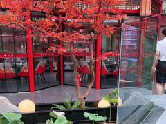 -老山东·山东菜(鲁菜名店)