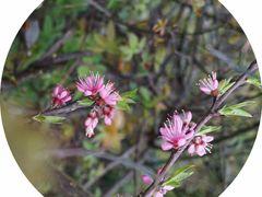 -仙海旅游度假区