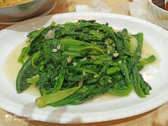 -联邦酒楼
