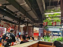 -猫爪爪原切自助烤肉(观音桥阳光世纪店)
