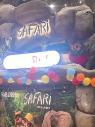 -卡通尼·Safari非洲探索乐园·生日会(金桥国际商业广场店)