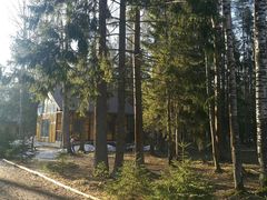 -滴血救世主教堂