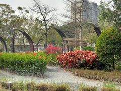 -映月湖公园