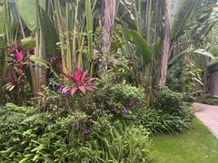 景点-碧桂园润杨溪谷温泉酒店