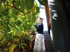 -慢丽江·云南野生菌土鸡锅(西山店)