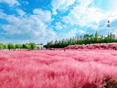 -嘉北郊野公园