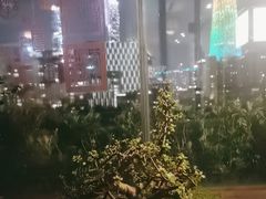 -小茶闲舍·观景商务茶馆(广州塔店)