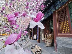 -潭柘寺景区