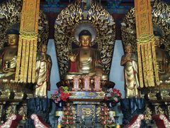 -大槐树寻根祭祖园