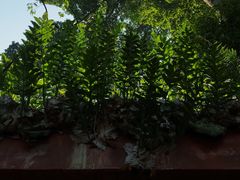 -峨眉山报国寺