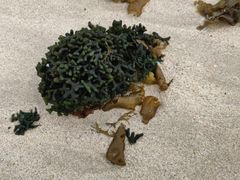 -石螺口海滩