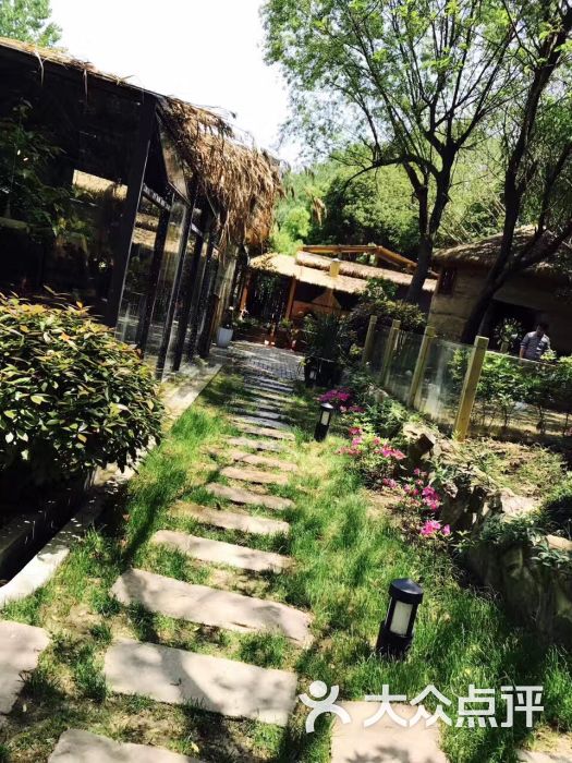 呼吸森林-图片-苏州美食-大众点评网