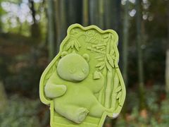 -成都大熊猫繁育研究基地
